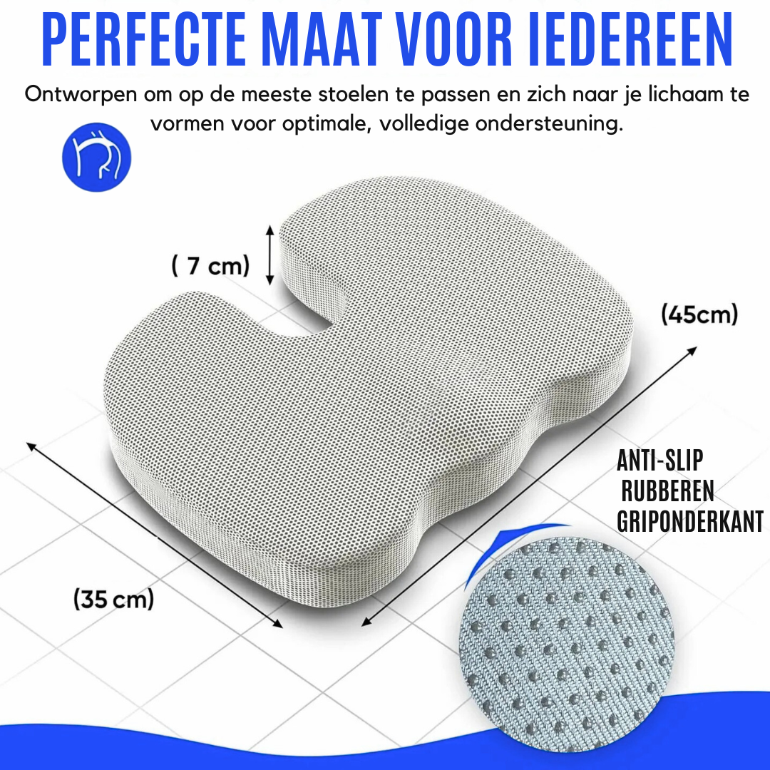 Stepscore™ ErgoSeat